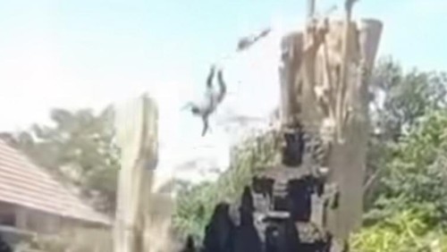 Salah Ikat Tali, Penebang Pohon di Badung Tewas Terempas dari Ketinggian