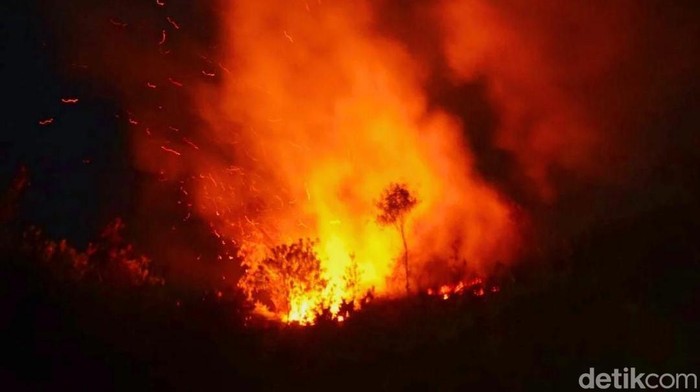 Sumur Minyak Ilegal di Muba Terbakar, 2 Pekerja Tewas-Satu Luka