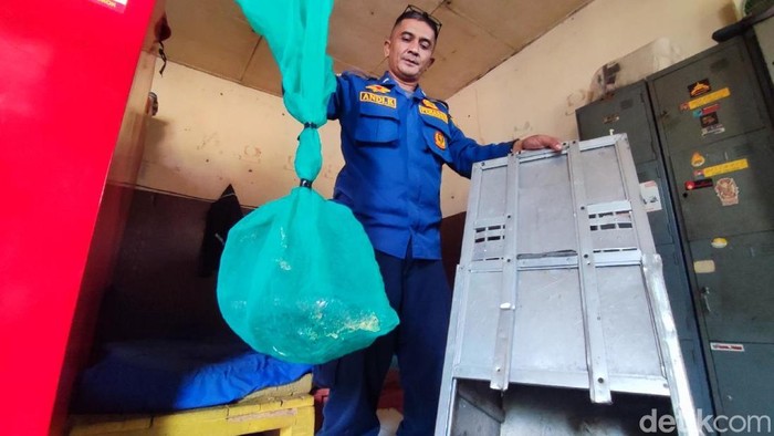 Cerita King Kobra Lepas di Kantor Damkar Ciamis, Petugas Dibuat Geger